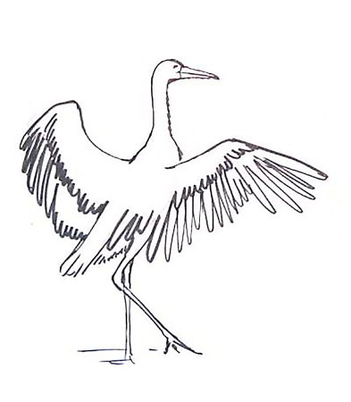 Журавль рисунок карандашом