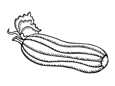 Раскраска. Овощи.