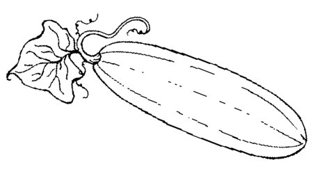 Овощи и фрукты раскраска для детей