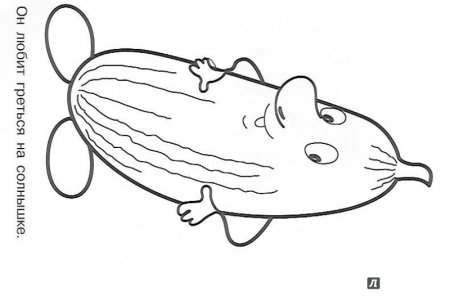 Кабачок раскраска для детей