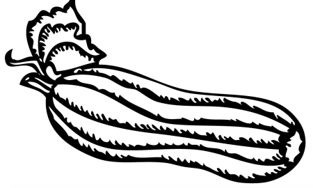 Кабачок раскраска для детей