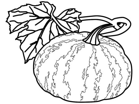 Для детей распечатка кабачки