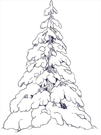 Деревья в снегу раскраска