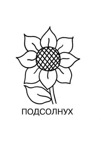 Подсолнух трафарет