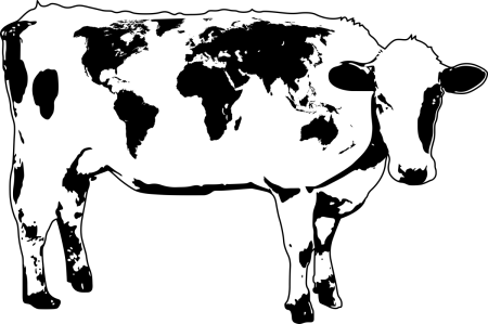 Пятна коровы