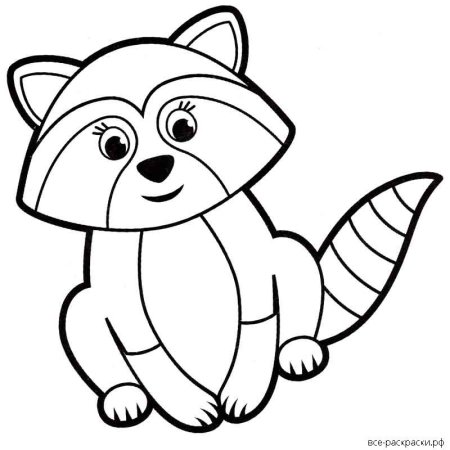 Енот раскраска