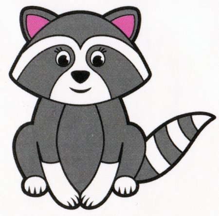 Енот для детей