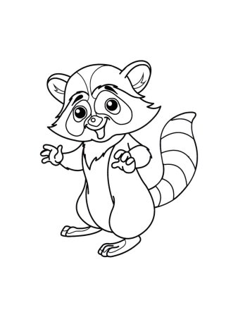 Енот раскраска для детей