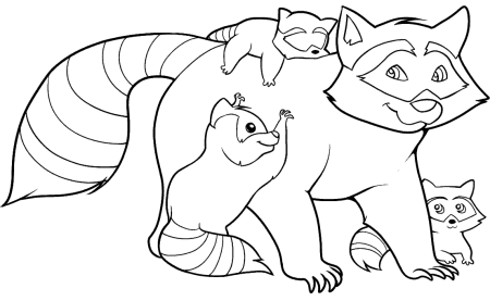 Енот раскраска