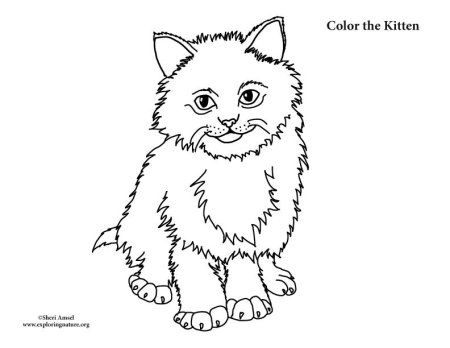 Раскраска. Пушистики