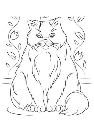 Пушистая кошка раскраска для детей