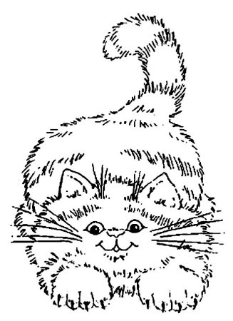 Пушистые коты раскраски для детей