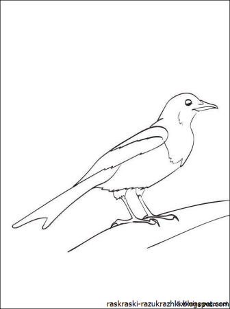 Сорока трафарет