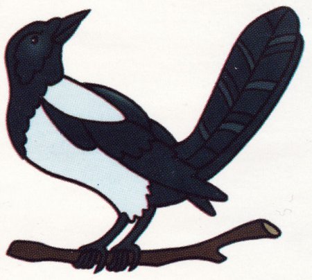 Сорока белобока раскраска