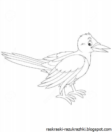 Сорока раскраска