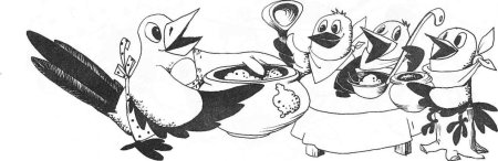 Раскраска сорока на ветке