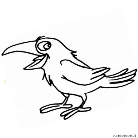 Силуэты птиц для детей