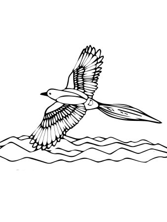 Раскраска зимующиептиы