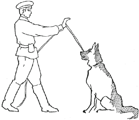 Техника дрессировки служебных собак