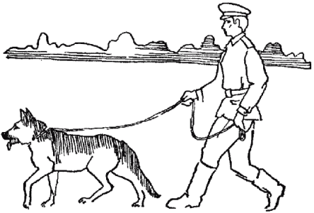 Полицейская собака раскраска