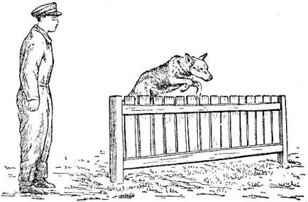 Пограничник раскраска для детей