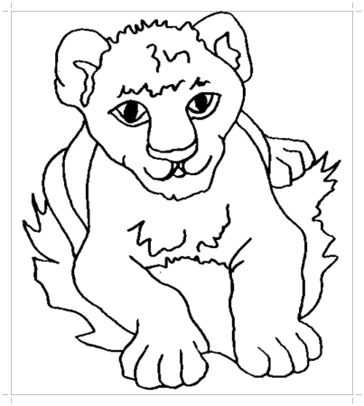 Раскраска «львёнок»