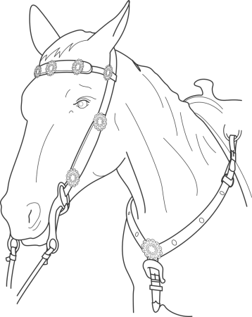 Голова лошади спереди контур