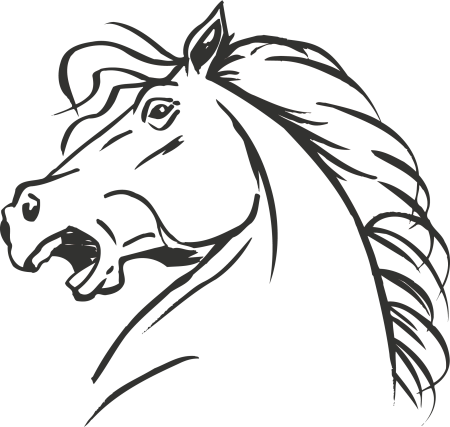 Голова коня раскраска