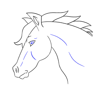Контур головы лошади