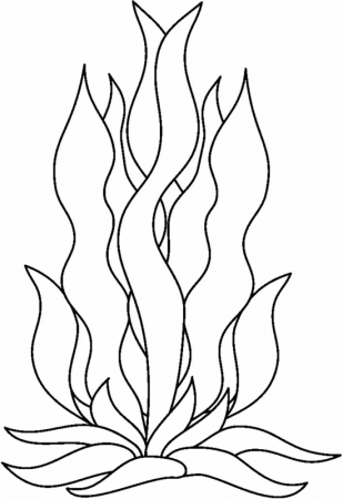 Раскраска морские водоросли