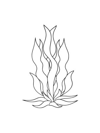 Водоросли раскраска