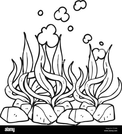 Морские растения раскраска