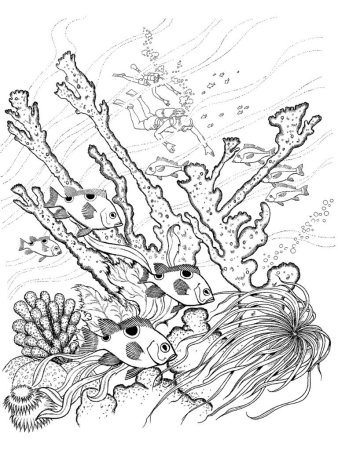 Раскраски кораллов