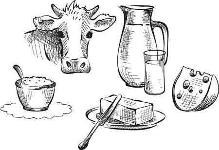 Молочные продукты раскраска