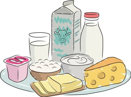 Молочные продукты раскраска