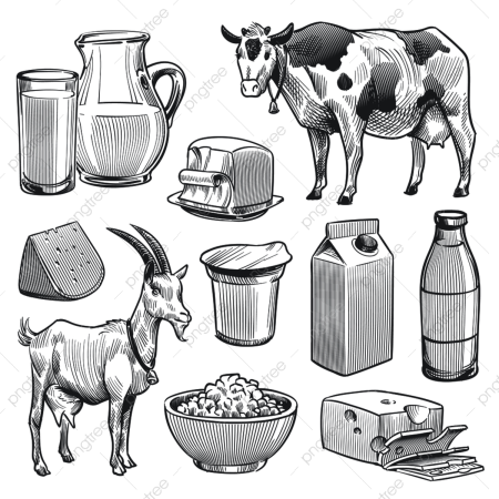 Молочная продукция вектор