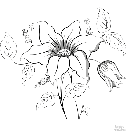 Раскраски узоры орнаменты