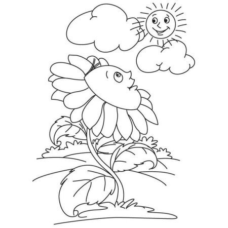 Цветы. Раскраска