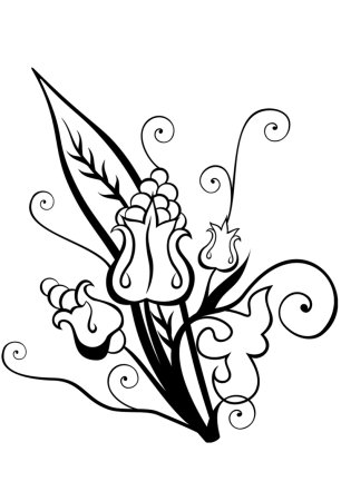 Волшебные цветы. Раскраска