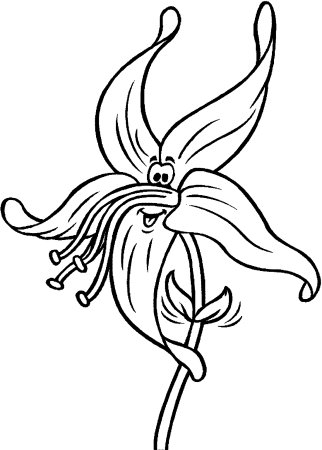 Сказочные цветы карандашом