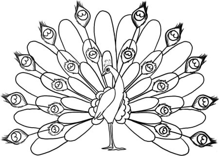 Павлин раскраска для детей