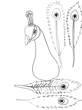 Раскраска павлина
