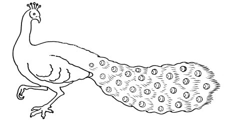 Трафарет павлина без хвоста