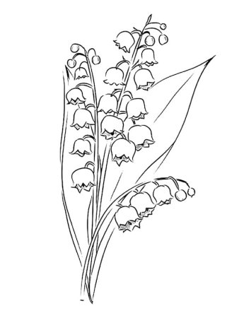 Ландыш раскраска для детей