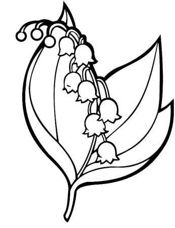 Ландыш раскраска
