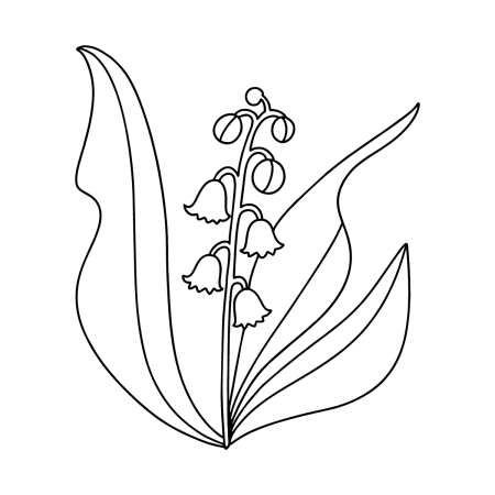 Ландыш Майский