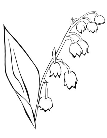 Ландыш разукрашка