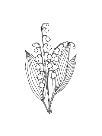 Схема цветка ландыша карандашом