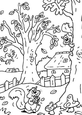 Осень раскраска для детей