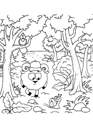 Раскраска Золотая осень